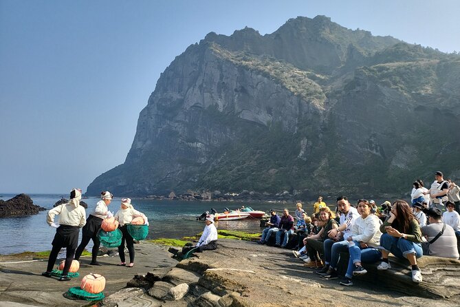 Half or Day Tour for Cruise Customers Arriving at Gangjeong Port - Logistics and Accessibility