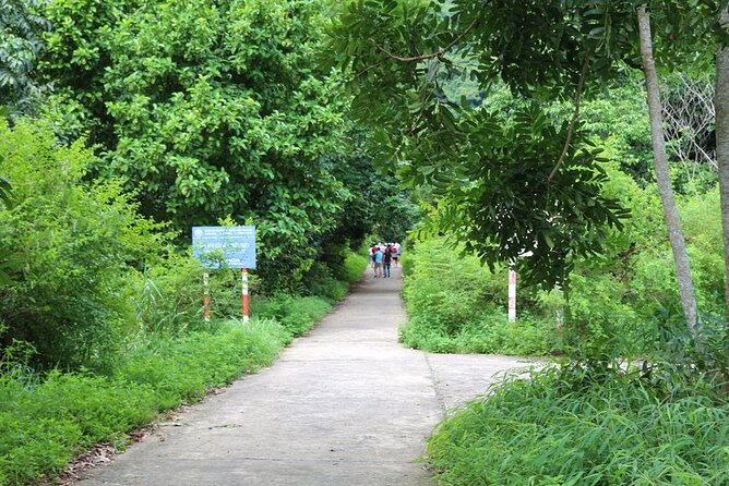 Halfday Trekking Cat Ba Butterfly Valley (More Intense) - Wildlife and Nature Highlights
