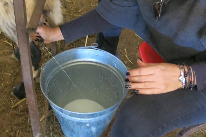 Halloumi Heaven: Cheese-Making Class & Troodos Mountain Villages 8h - Meeting and Pickup