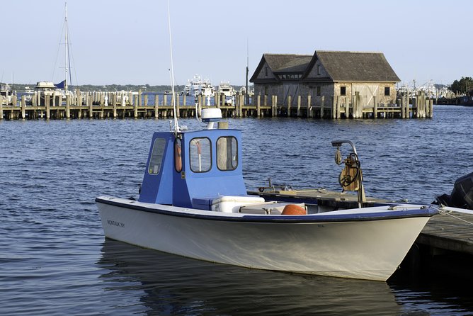 Hamptons Private Day Trip From New York City - Transportation Options