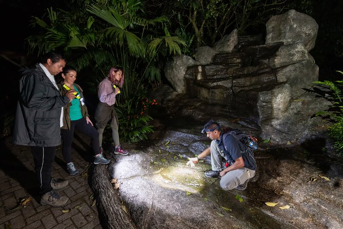 Hanging Bridges Twilight Walk in Arenal Volcano - Tour Inclusions and Meeting Point
