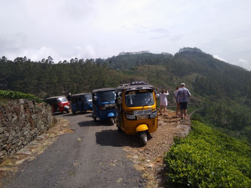 Haputale: Ella, Small Adams Peak, & Nine Arches Bridge Hike - Nature and Wildlife