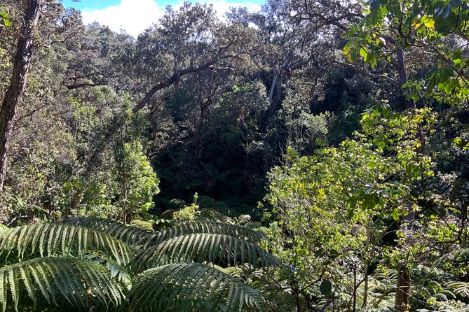 Hawaiis Volcanoes National Park From Hilo Only - Tour Itinerary and Features