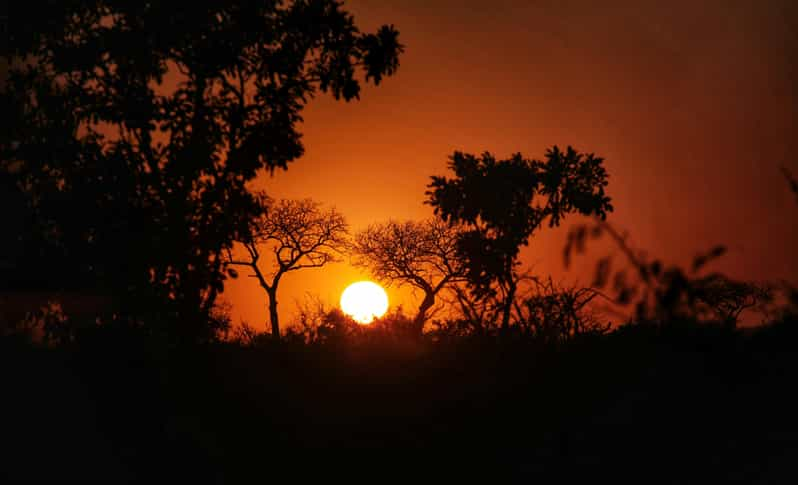 Hazyveiw : Kruger National Park Sunset Game Drive - Diverse Wildlife Encounters