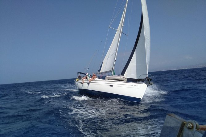 Heraklion | Half Day Sailing Cruise to Dia Island - Guest Feedback