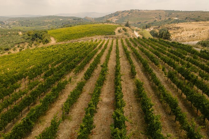 Heraklion Private Half-Day Gastronomy Diaries Experience in Lyrarakis Winery - Wine Tasting Highlights