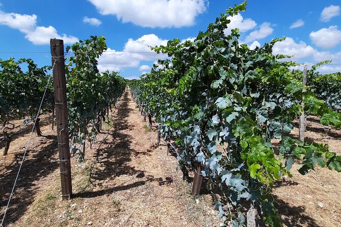 Heraklion Wine Tour & Cretan Meze Lunch - Accessibility Information
