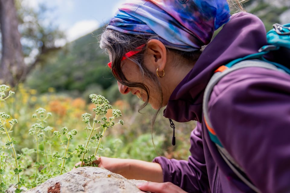 Herbalism and Wildlife (Small Group Experience) - Olive Oil Tasting at Ergostasio