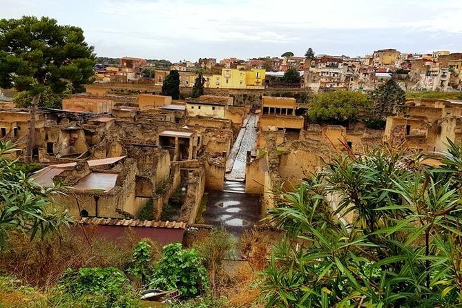 Herculaneum Private Two-hour Tour With A Real Archaeologist - Tour Inclusions