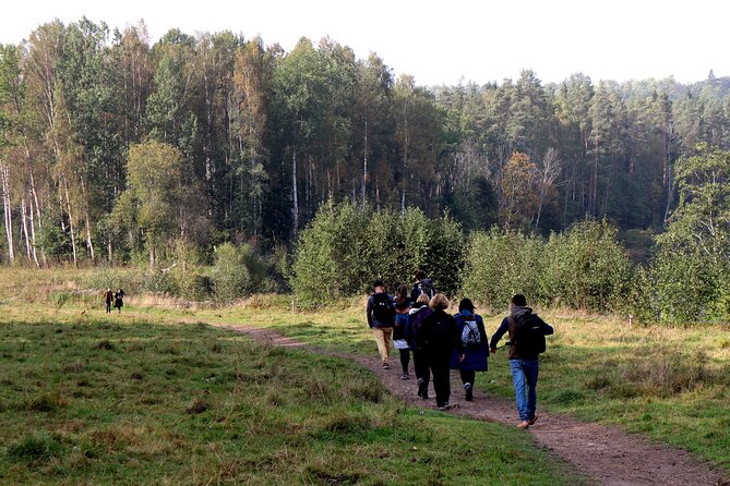 Hike In Gauja National Park - Up And Down The Switzerland Of Latvia - Customer Feedback