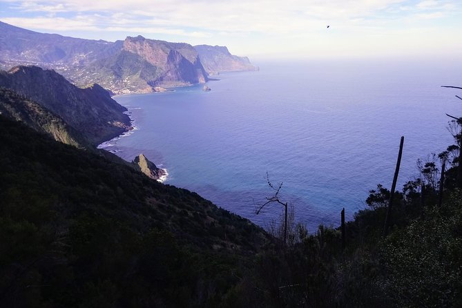Hike Larano, Boca Do Risco Porto Da Cruz Levada in a Small Group - What to Expect