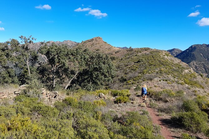 Hike the Cork Oak Trail and Try Some Delicious Cheese - Indulge in Artisan Cheese Samples
