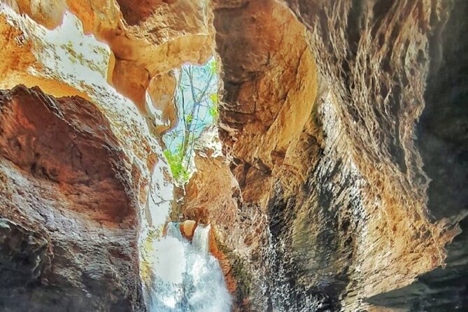 Hike to Rincon De Vieja National Park and La Leona Waterfall - Exploring the Rainforest