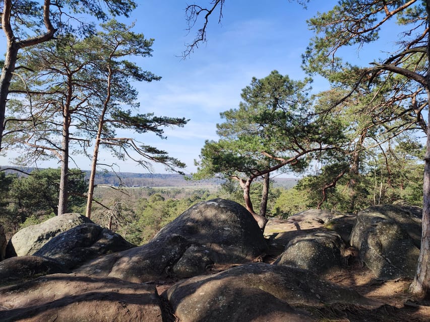 Hiking Adventure in the Fontainebleau Forest - Experience Highlights