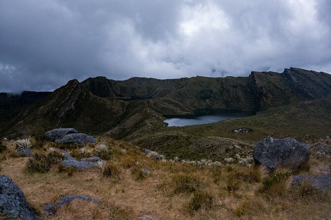 Hiking Chingaza Páramo, Siecha Lagoons - Unique Biodiversity and Endemism