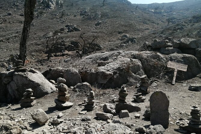 Hiking in Lima, Lomas De Lachay - Reviews and Feedback