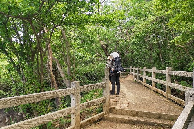 Hiking to the Rincon De La Vieja Volcano National Park Private Tour - Scenic Hikes and Wildlife Encounters