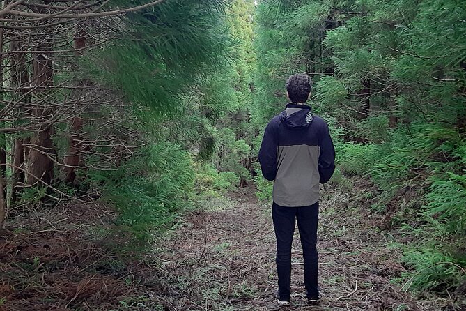 Hiking Trail Black Mysteries | Terceira Island - Recommended Fitness Level
