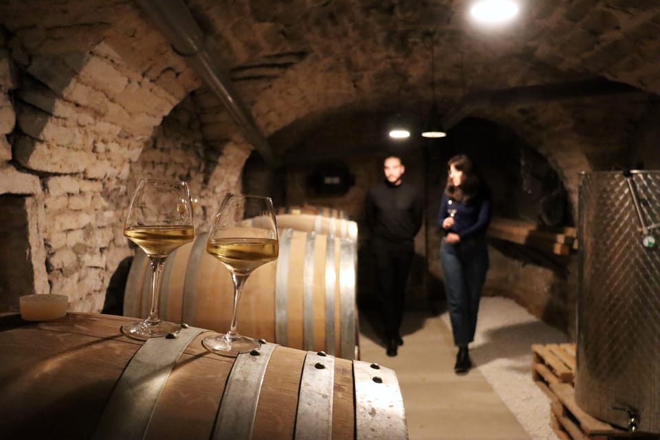 Historic Center of Dijon : Discovery Tasting Wine Burgundy - Historic Venue