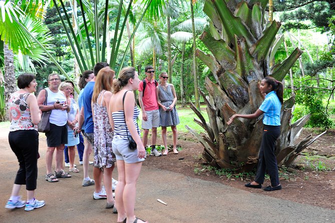 Historical Guided Day Tour : City - Sugar World - Botanical Garden - Pamplemousses Botanical Gardens