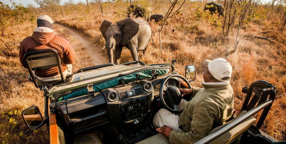 Hluhluwe Imfolozi Day Tour 4x4 Game Drive - From Durban - Witness the Big 5 Game Sightings