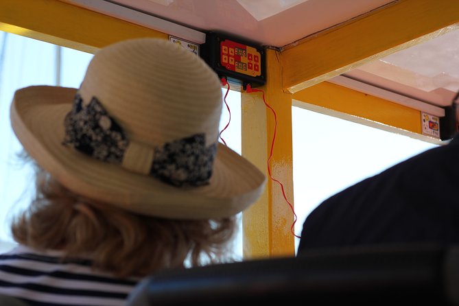 Hop-On Hop-Off Cape Town Canal Cruise - Accessibility and Family Features