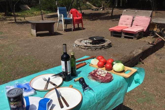 Horse Ride & BARBECUE on Ritoque Beach&Sand Dunes FROM VALPARAISO - Reviews and Feedback