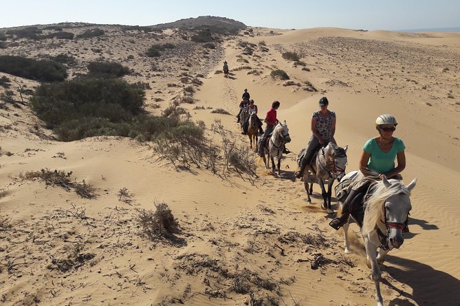 Horse Ride on the Beach in Essaouira - Wildlife Encounters