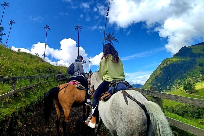 Horse Riding Cocora Valley - Panoramic Views and Ecosystems