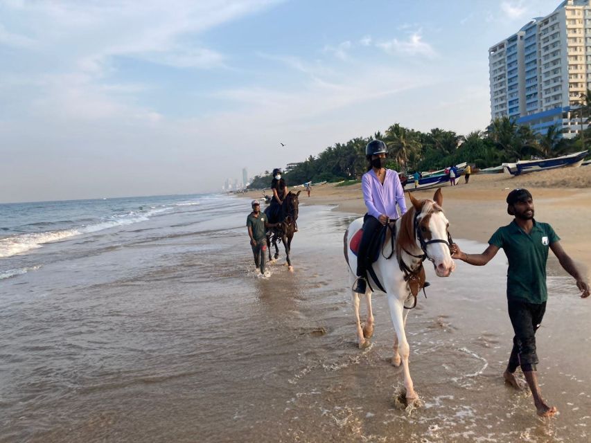 Horse Riding in Mount Lavinia - Included in the Price