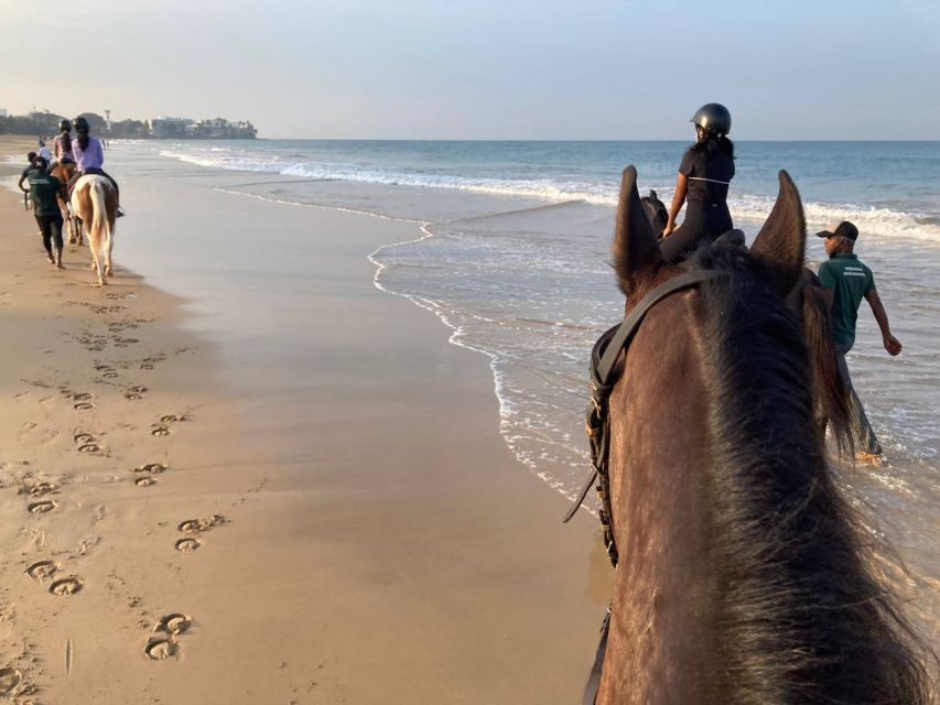 Horse Riding in Port City - Inclusions