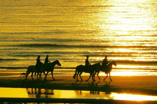 Horse Riding on the Beach, Rhodes - Schedule and Availability Information