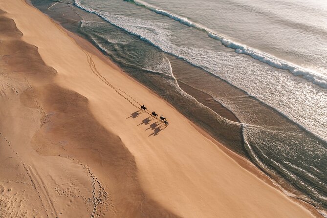 Horse Riding on the Beach With Private Transfer From Lisbon - Inclusions and Pricing