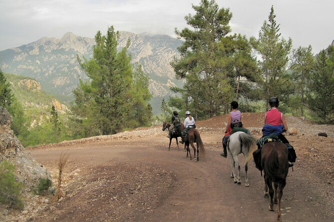 Horse Riding Tour in Bodrum With Hotel Pick up - Safety and Accessibility Information