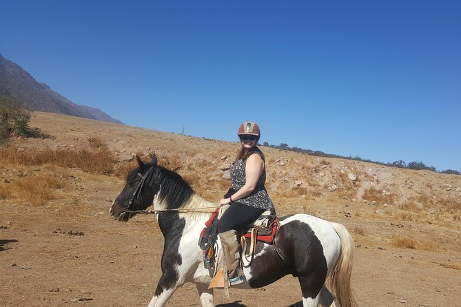 Horse Riding Tour in the Andes Santiago Chile - Personalized Attention From Guides