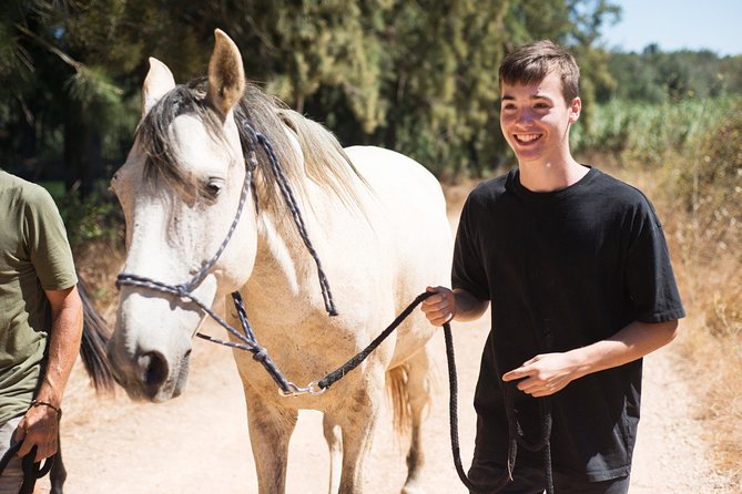 Horse Sanctuary: a Nature Walk With Rescued Horses by Your Side - Tour Duration and Group Size