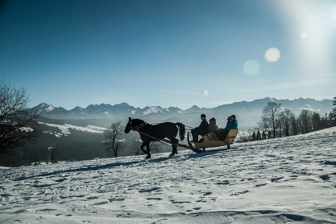 Horse Sleigh Ride in the Polish Countryside, Private Tour From Krakow - Accessibility and Participation