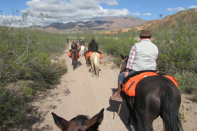 Horseback Expedition to the Andes, 3 Days - Included in the Package