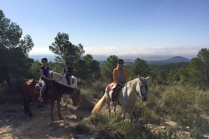 Horseback Riding and Wine Tour (Private Tour) - Cancellation Policy