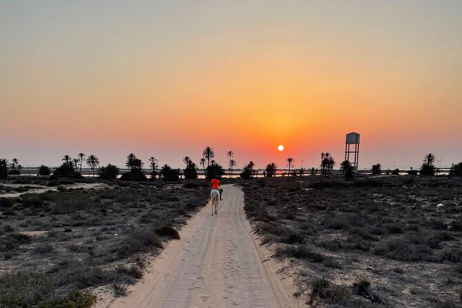 Horseback Riding at Sunrise 3h - Pricing and Inclusions
