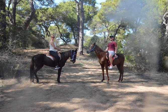 Horseback Riding by Beach or Forest in Manavgat Side - Pickup and Meeting Point