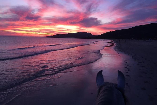 Horseback Riding by the Beach or Mountain in Tarifa, Spain - 1 to 2 Hrs - Language Offerings and Group Size