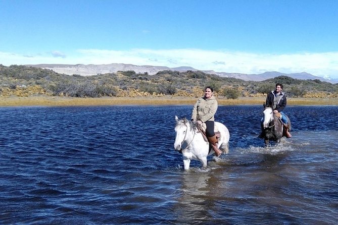 Horseback Riding in Calafate - Highlights of the Experience