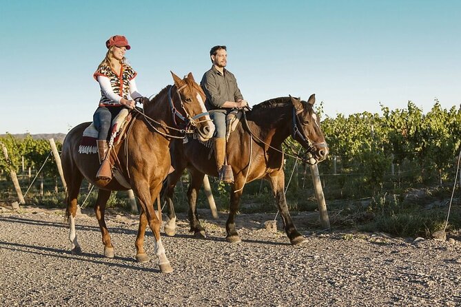 Horseback Riding in Mendoza Through the Vineyards and River With Optional Asado. - Accessibility and Participation Requirements