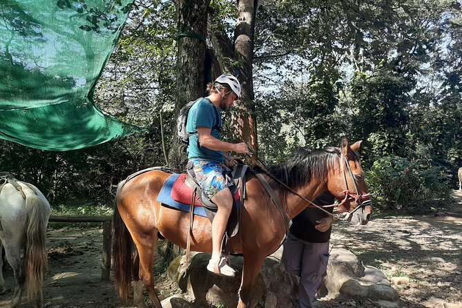 Horseback Riding on the Beach - Customer Ratings and Reviews