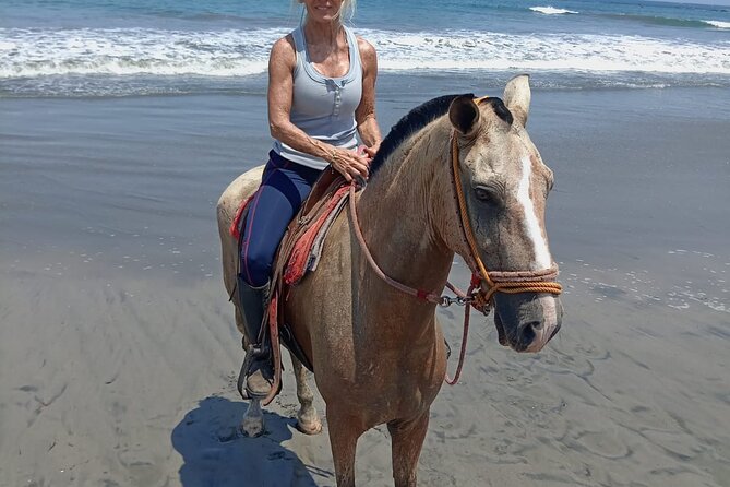Horseback Riding on the Beach and Trails 2 Hours - Meeting and Transportation