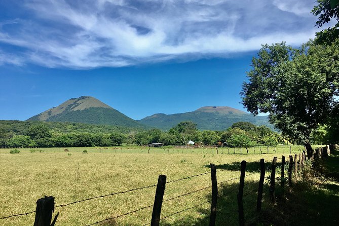 Horseback Riding Private Tour - Contact and Booking