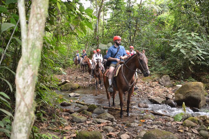 Horseback Riding to La Fortuna Waterfall - Traveler Feedback
