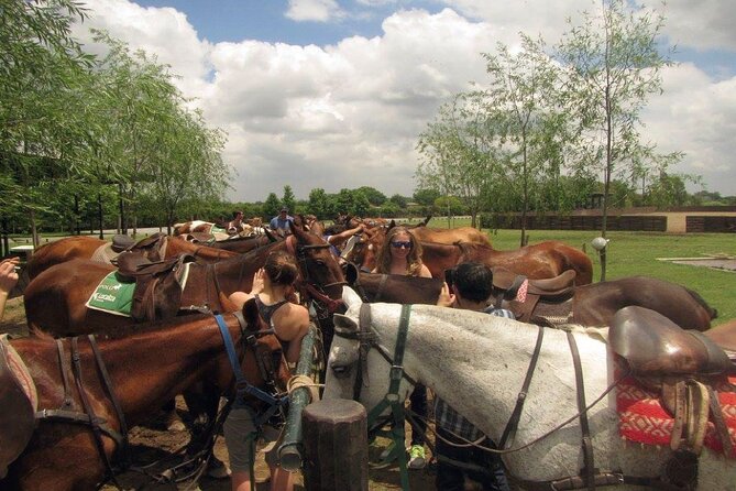 Horseback Riding Tour and Asado in Argentine Countryside - Welcome Breakfast and Mate