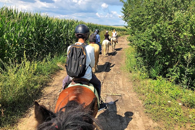 Horseback Riding Tour In Brasov - Ride Through Fields, Forests & Hills - What to Expect
